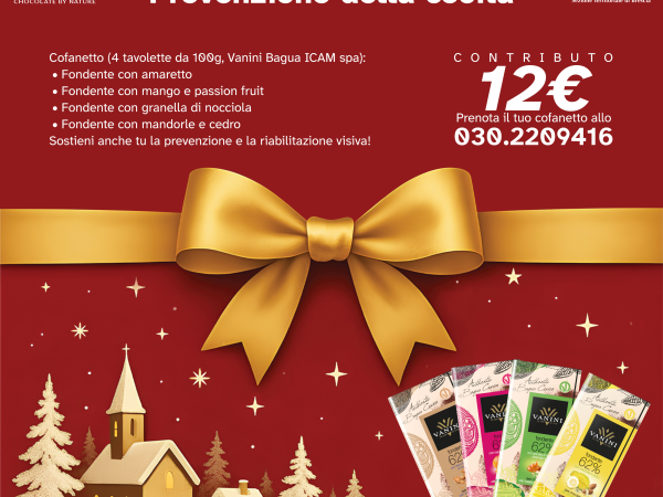 Locandina un dono per la vista 2025